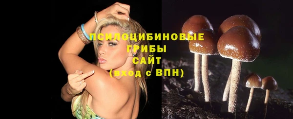 гашик Алексеевка