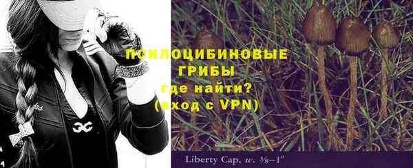 мескалин Алексин