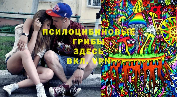 мескалин Алексин