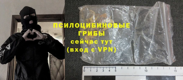 гашик Алексеевка