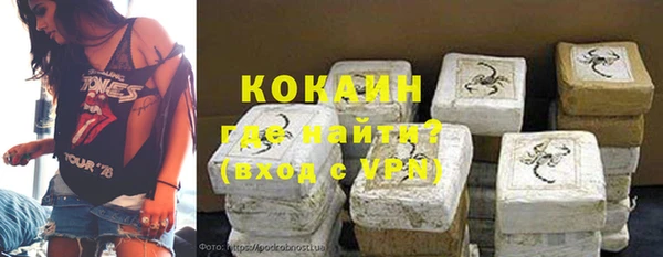 гашик Алексеевка