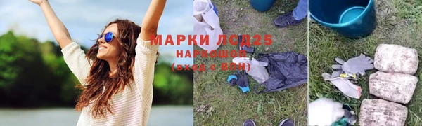 гашик Алексеевка