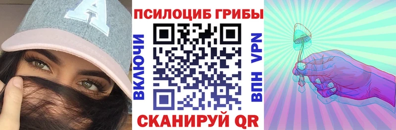 Галлюциногенные грибы Cubensis  где найти   Тайшет 