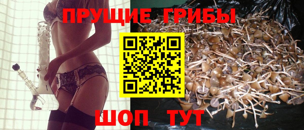 Псилоцибиновые грибы Magic Shrooms Тайшет