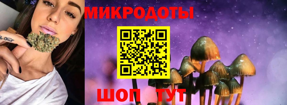 Псилоцибиновые грибы MAGIC MUSHROOMS  Вход с VPN  Тайшет 